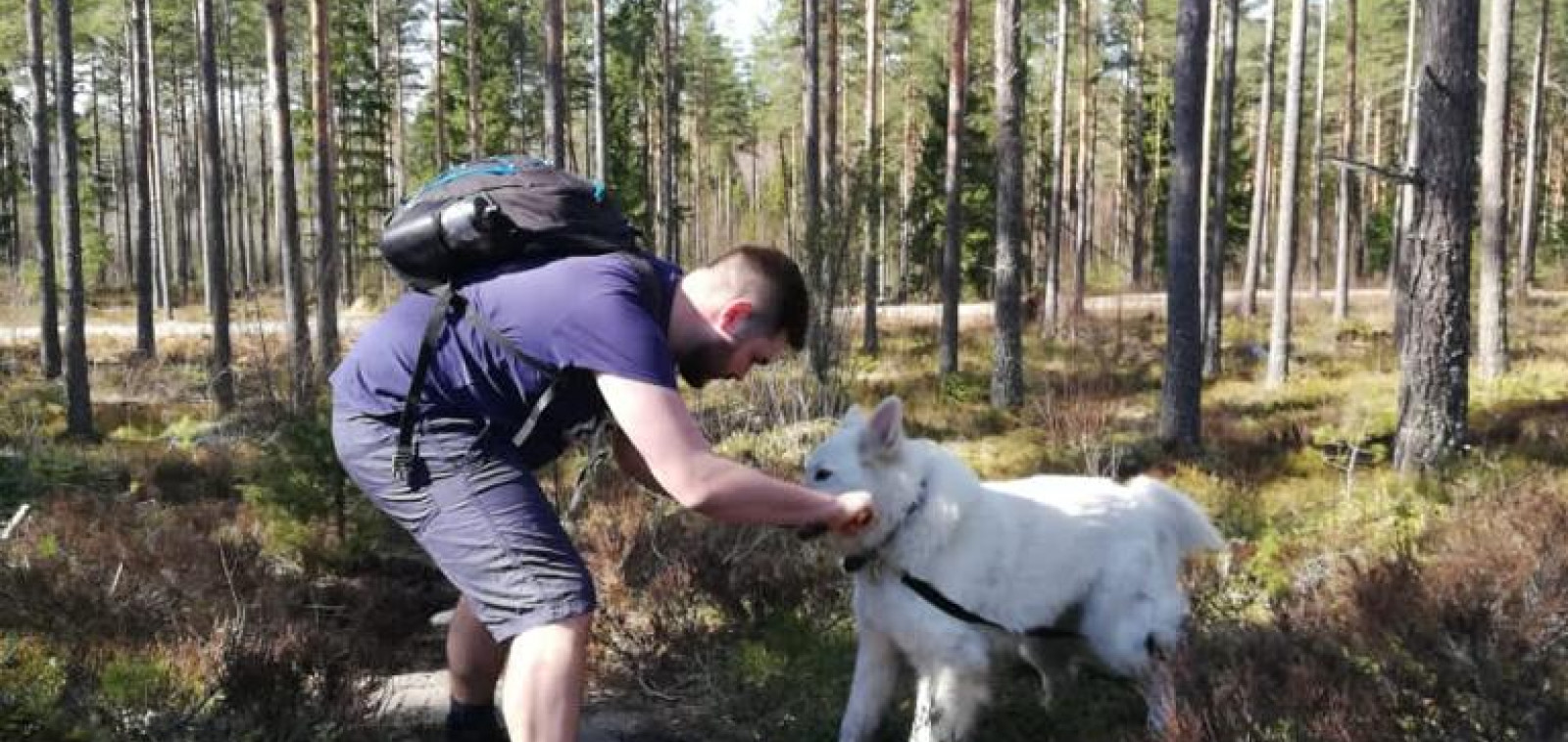 Nuori mies leikkii koiran kanssa metsässä.